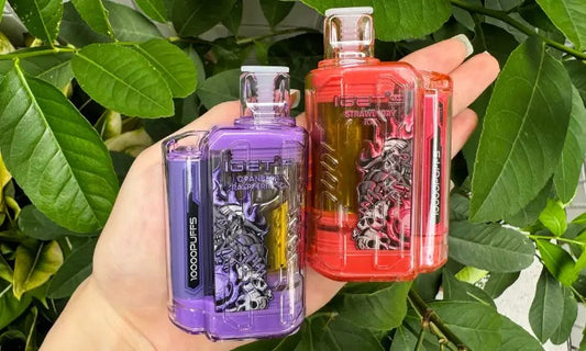 Buy Elfbar Raya D3 25000 (25K Puffs) Disposable Vape | Express Delivery in india